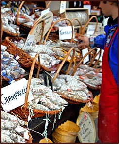 Bienvenue en Ardèche